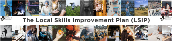 Local Skills Improvement Plan